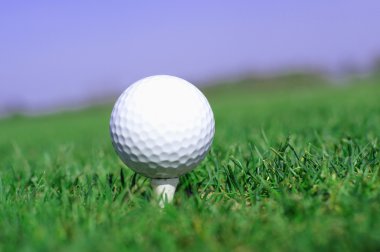 Golf topu uzun boylu yeşil çimen