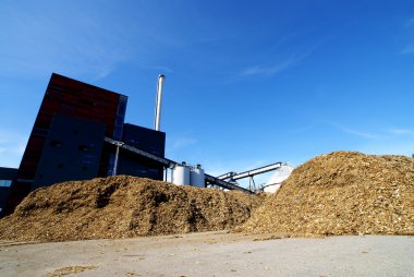 biyo yakıt enerji santrali