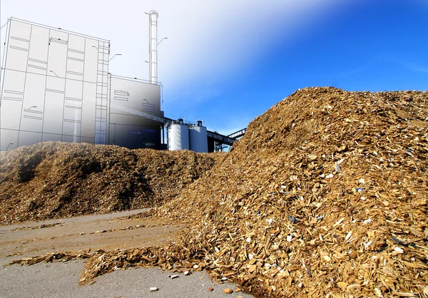 Bio elektriciteitscentrale tekenen met opslag van houten brandstof tegen blu — Stockfoto