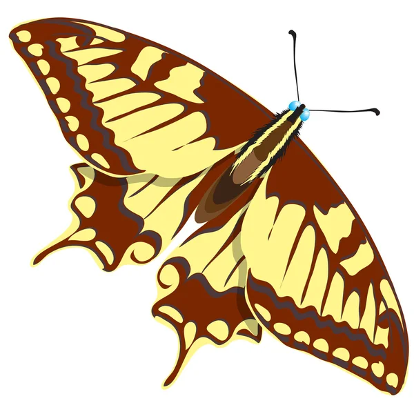 Fondo sin costuras de mariposas coloridas . — Vector de stock