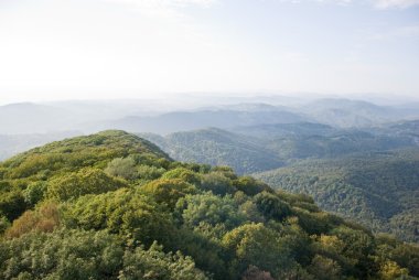 dağlar, ormanlar ile kaplı. güneşli bir gün.