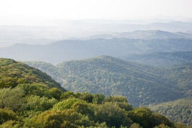 dağlar, ormanlar ile kaplı. güneşli bir gün.