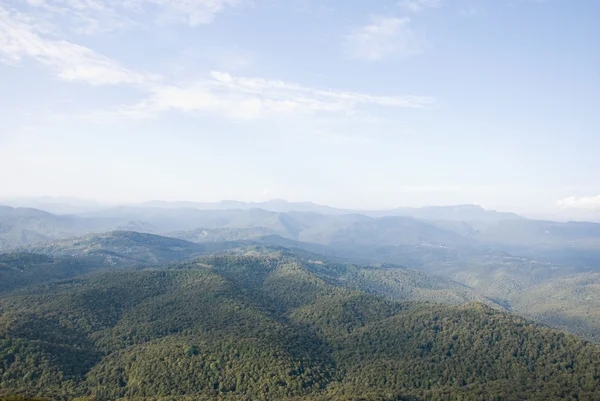 Las montañas cubiertas de bosques. Día soleado . —  Fotos de Stock