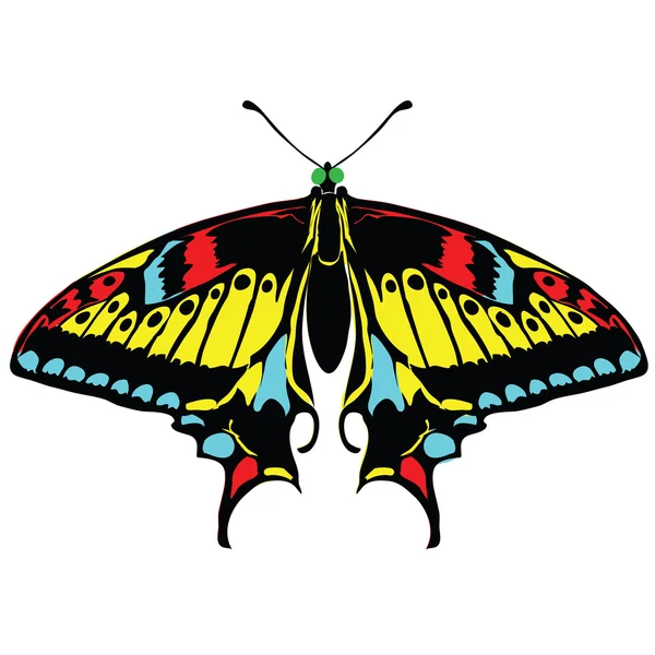 Fundo sem costura de borboletas coloridas . — Vetor de Stock