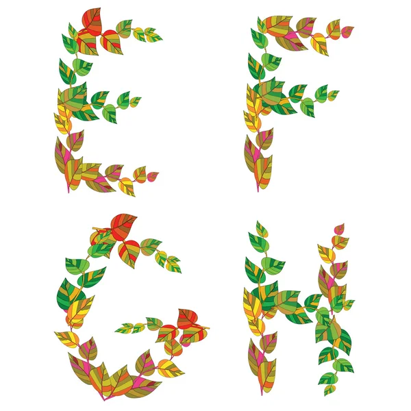 English alphabet made ​​up of branches and leaves. — Stock Vector