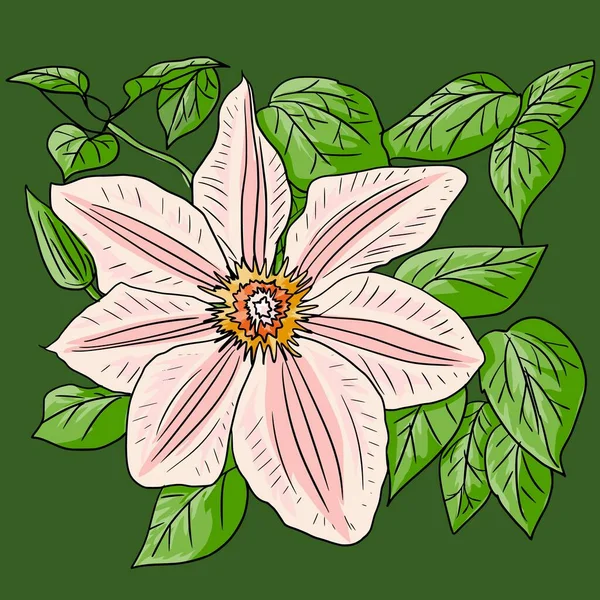 Lily bloem. Mooie, heldere, gele bloem. Vectorillustratie — Stockvector