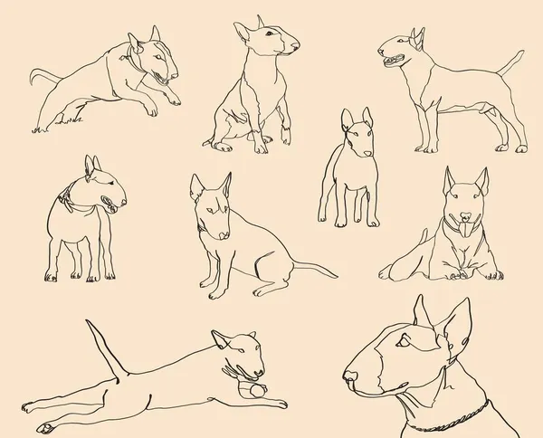 Drawing Dog Line White Background Bull Terrier Drawing Line — Stock Photo, Image