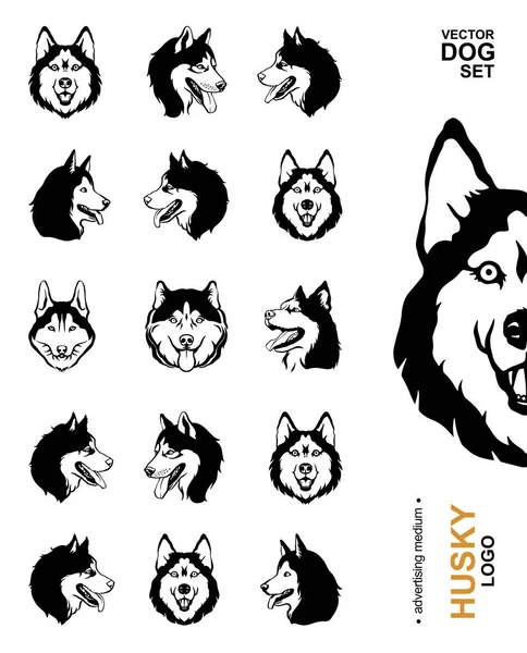 犬の品種のアイコンのセット ベクトル図 広告媒体 ベクトルドッグセット ハスキーロゴ — ストックベクタ