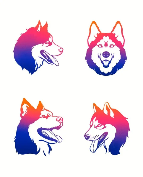 Husky head set. Collection of logo dogs. Color illustration of a husky dog. Gradient drawing of a pet. — Stock Photo, Image