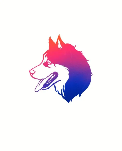 Husky head. Logo dogs. Color illustration of a husky dog. Gradient drawing of a pet. — Stock Photo, Image