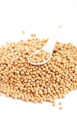 soya fasulyesi