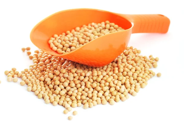 The soya beans — Stock Photo, Image