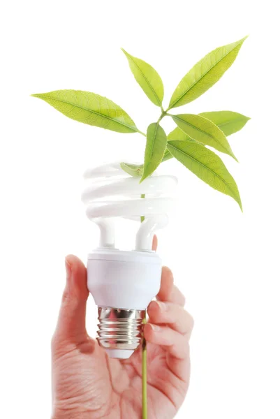 The concept of saving energy and environmental protection — Stock Photo, Image