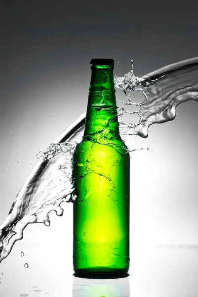 Beer bottle with water splash — Stock Photo, Image