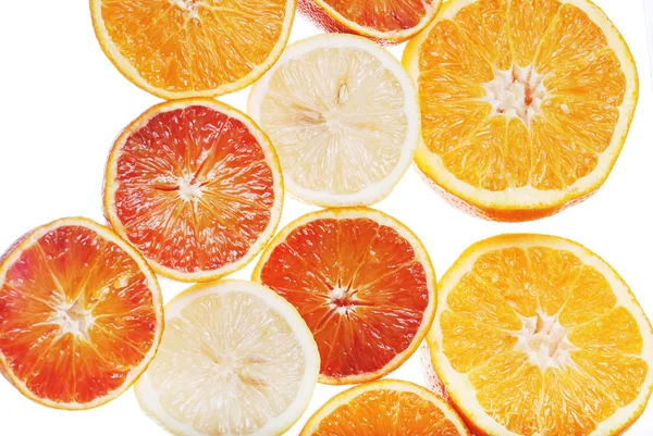 Biopsy of the orange — Stock Photo, Image