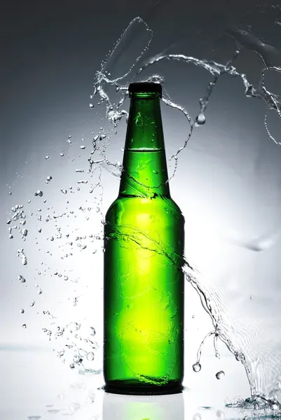 Beer bottle with water splash Royalty Free Stock Photos