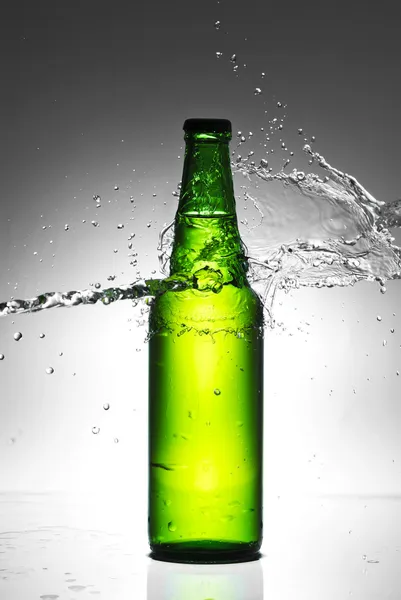Beer bottle with water splash Stock Picture