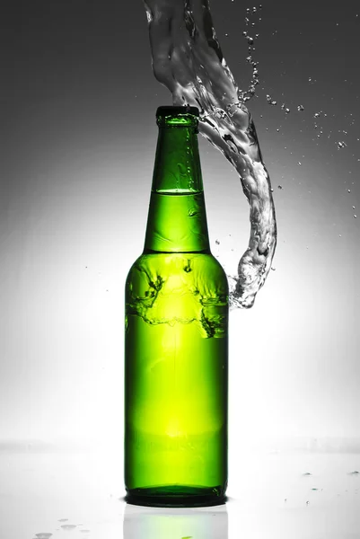 Beer bottle with water splash Stock Photo