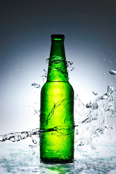 Beer bottle with water splash Royalty Free Stock Images