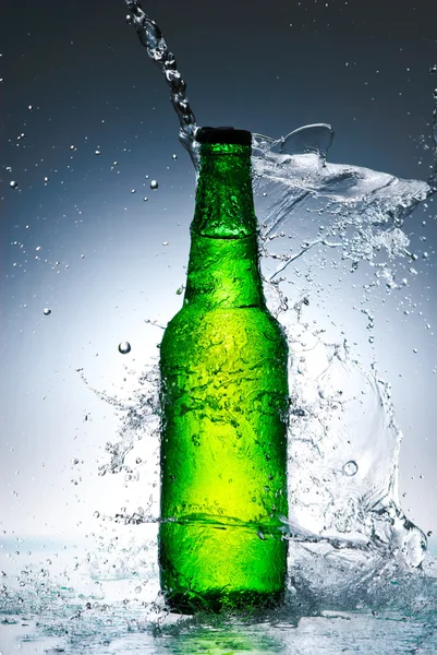 Beer bottle with water splash Stock Picture