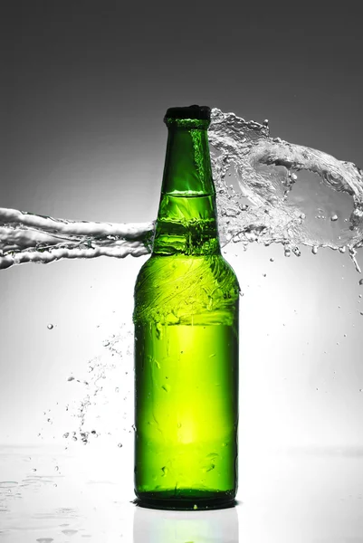 Beer bottle with water splash Stock Photo