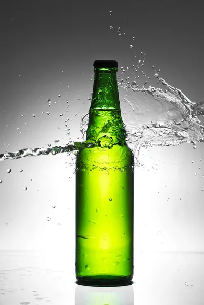 Beer bottle with water splash Royalty Free Stock Photos