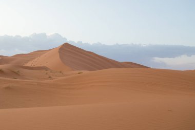 Sahara çölündeki kum tepelerinin manzarası