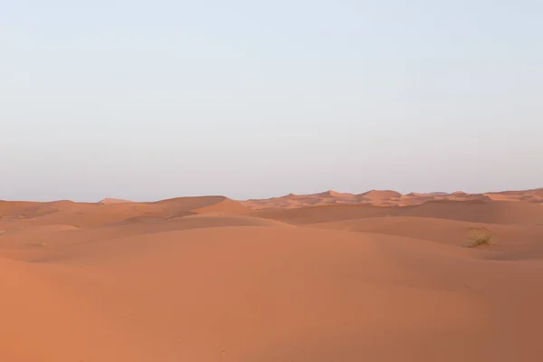 Sahara Çölündeki Kum Tepelerinin Manzarası — Stok fotoğraf