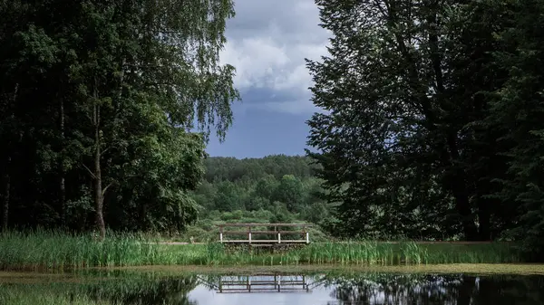 Holzbrücke Spiegelt Sich Wasser Vor Dem Hintergrund Von Bäumen Und — Stockfoto