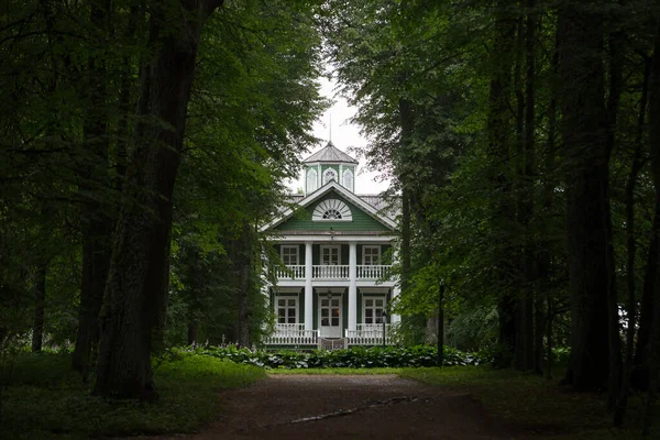 Blick Auf Ein Gewächshaus Mit Säulen Aus Einem Dunkelgrünen Wald lizenzfreie Stockfotos
