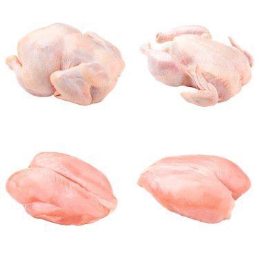 Beyaz arka planda çiğ tavuk ve göğüs kolajı.