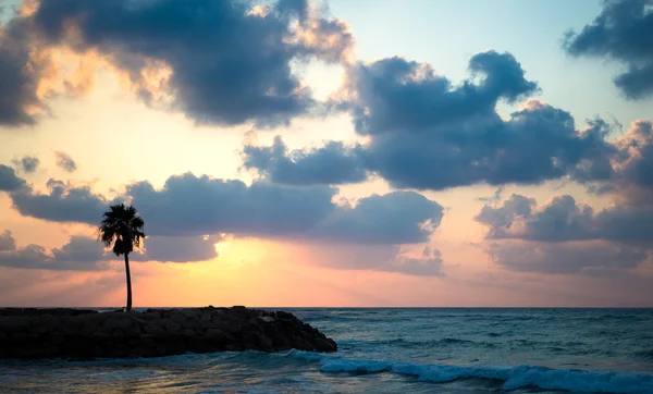 Zachód słońca na plaży z palmy — Zdjęcie stockowe