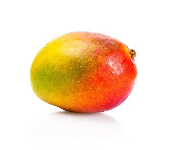 Fruto de mango aislado sobre fondo blanco —  Fotos de Stock