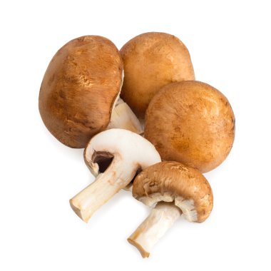 Beyaz arka plan üzerinde izole mantar petrol