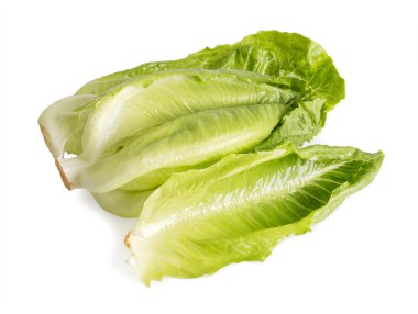 beyaz izole marul salatası