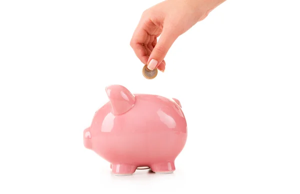 Female hand putting a coin into piggy bank Stock Picture