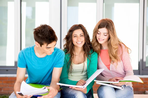Jonge groep studenten op de campus — Stockfoto