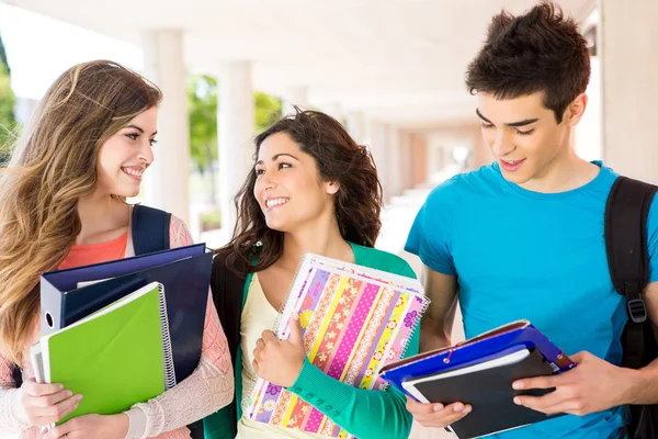 Jonge groep studenten op de campus — Stockfoto