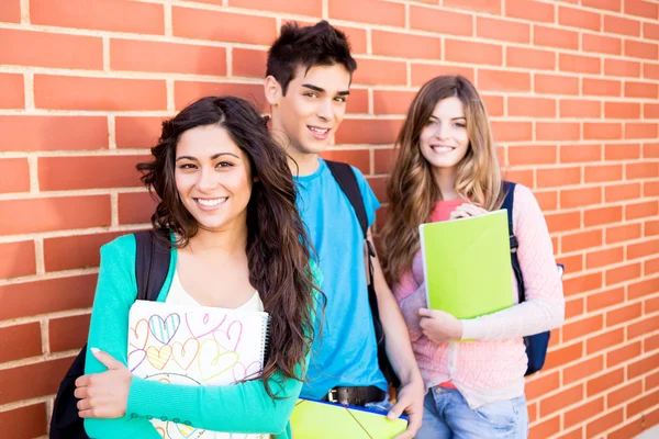 Młoda grupa studentów w kampusie — Zdjęcie stockowe