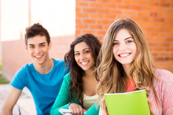 Young group of students in campus Stock Image