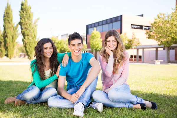 Jovem grupo de estudantes no campus — Fotografia de Stock