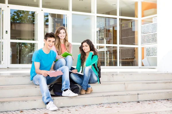 Mladá skupina studentů v kampusu — Stock fotografie