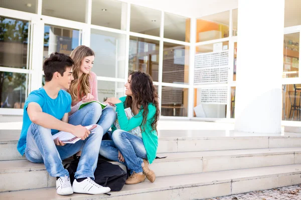 Unga studentgrupper på campus — Stockfoto