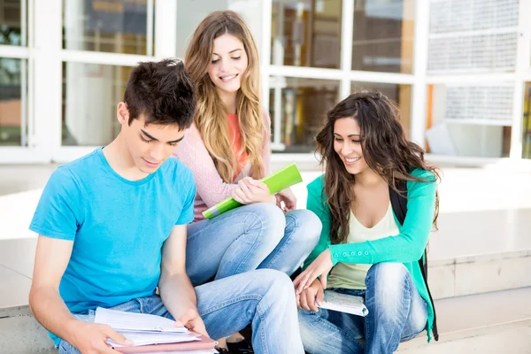 Young group of students in campus Royalty Free Stock Photos