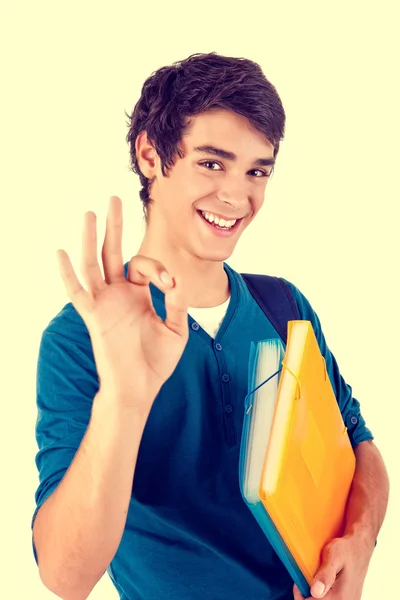 Jovem estudante feliz mostrando Ok sinal — Fotografia de Stock