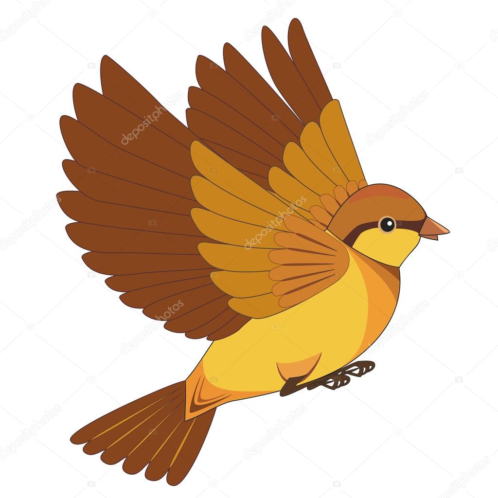 Flying bird cartoon isolated on a white background
