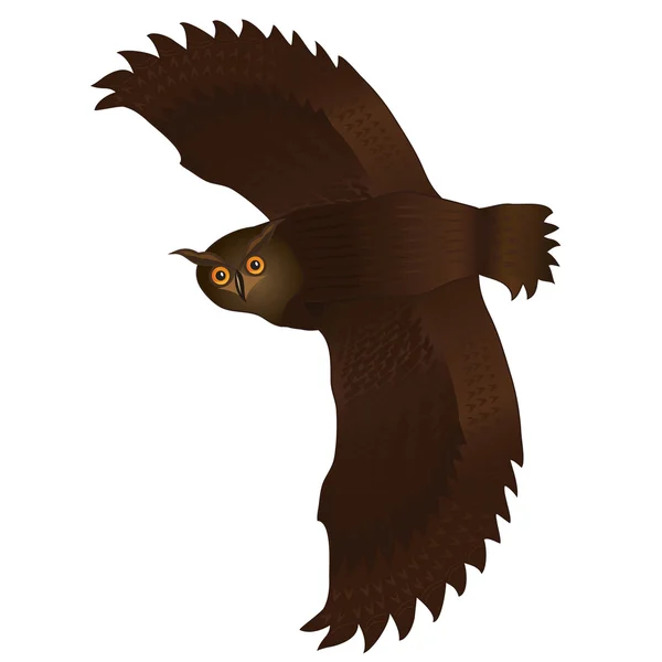 Hibou volant isolé au-dessus du blanc — Image vectorielle