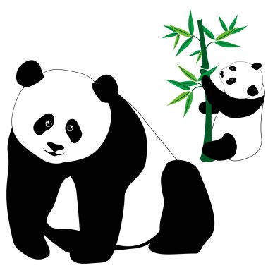 sevimli panda ayıları bambu kümesi