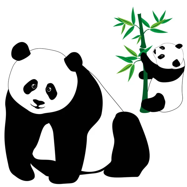 Zestaw ładny niedźwiedzi panda z bambusa — Wektor stockowy