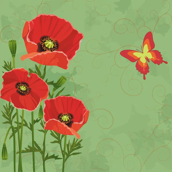 Floral vintage background with poppies and butterfly — Stock Vector